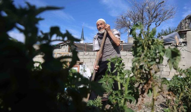 'Hayır yapmak kadar güzel bir şey yok' diyen 90 yaşındaki adam, 100 metre mesafeden taşıdığı suyla yetiştirdiği ürünleri hayrına dağıtıyor