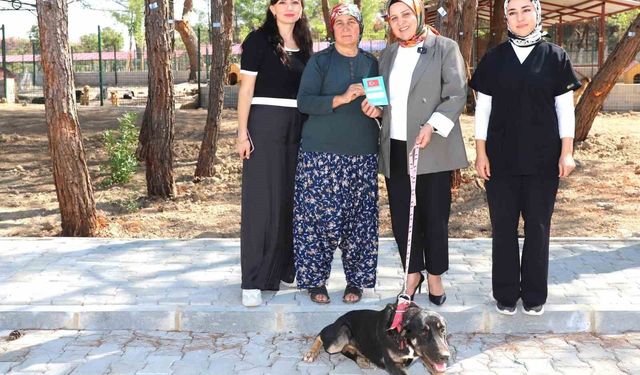 'Kopi' yangının ardından yeni yuvasına kavuştu