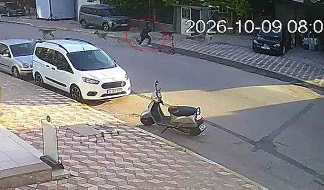 Okul yolunda sokak köpeklerinin saldırısına uğrayan kız çocuğu yaralandı