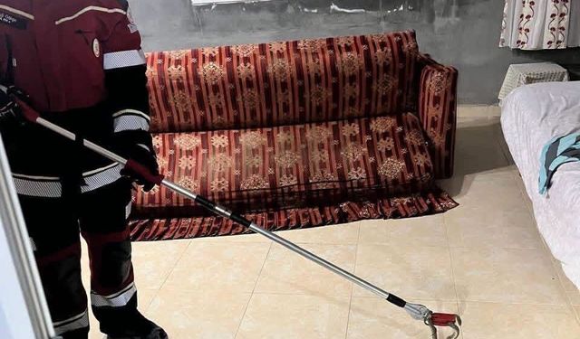 Samandağ'da yerleşim yerinde görülen yılan yakalanarak doğaya bırakıldı