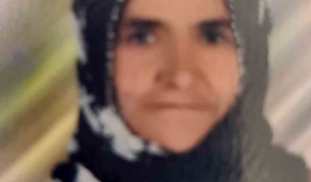 Tarsus'ta otomobilin çarptığı yaşlı kadın hayatını kaybetti