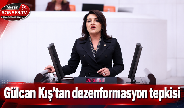 CHP'li Gülcan Kış’tan dezenformasyon tepkisi