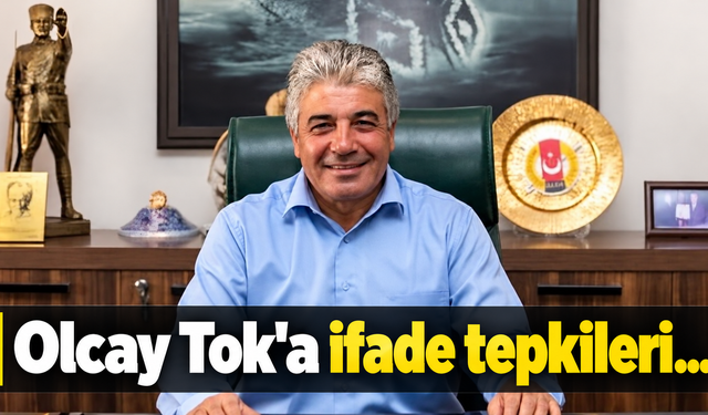 Olcay Tok’un ihbar ifadesine Mersin’de tepkiler büyüyor