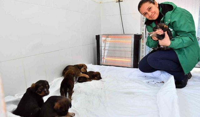 Mersin’de bin 100 patili dosta sıcak yuva sağlandı
