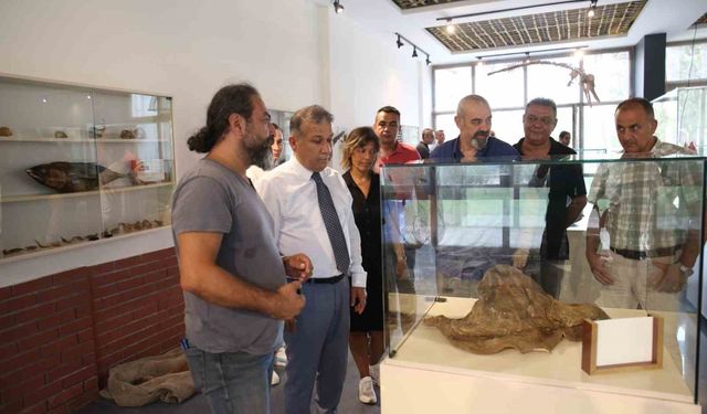 Bölgenin ilk deniz canlıları müzesi Mersin’de açılıyor
