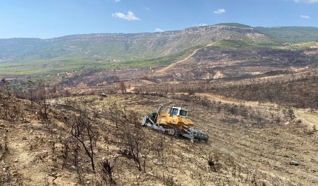 Gülnar’da yanan ormanlık alanlarda ağaçlandırma çalışmalarına başlandı
