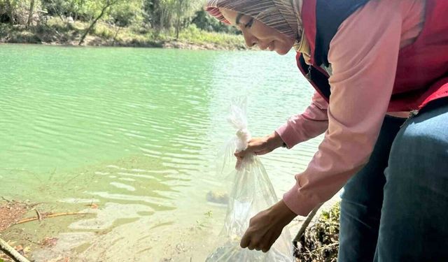 Osmaniye’de Tahta Barajı’na 20 bin pullu sazan yavrusu bırakıldı
