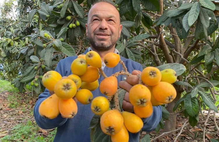 Sarı altın erken geldi: Yenidünya mart ayını beklemedi