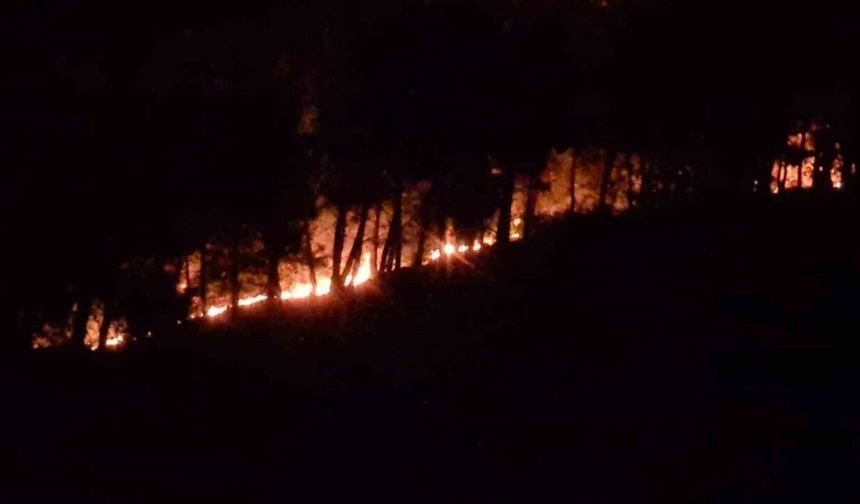 Adana’da orman yangını