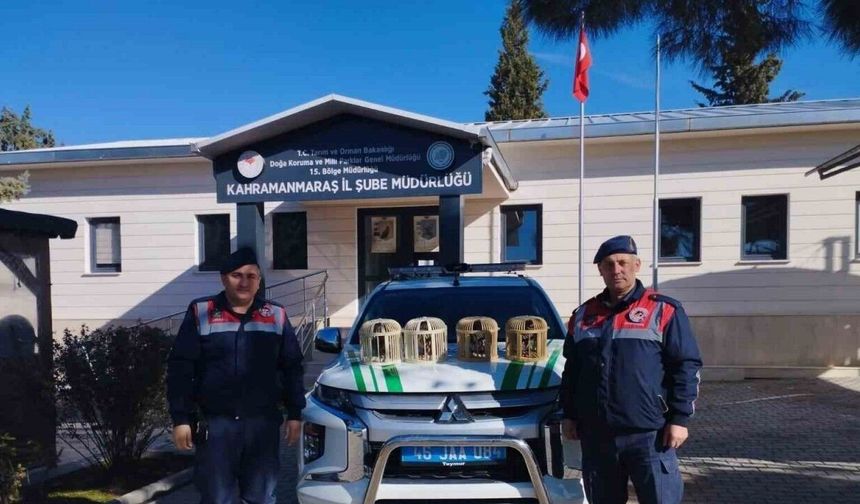 Konteynerde keklik besleyen şahıs yakalandı
