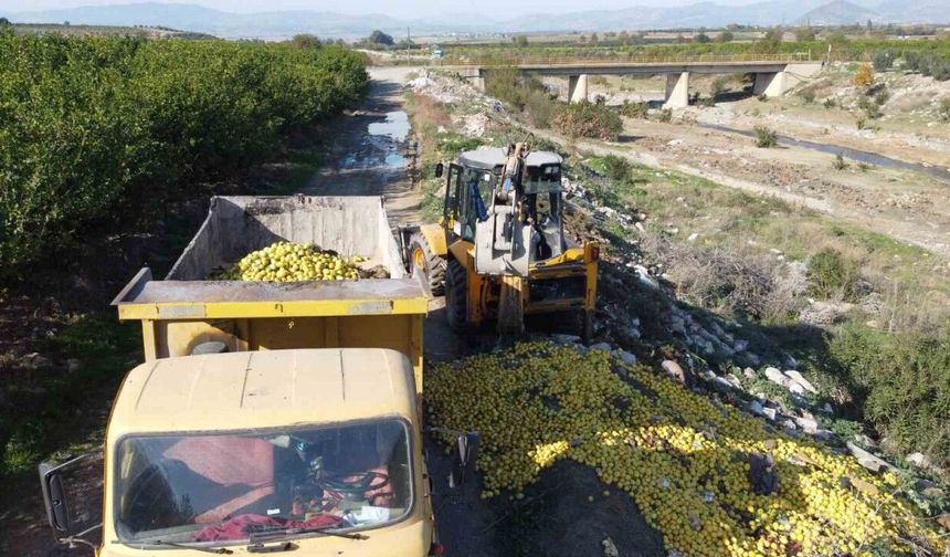 Dere yatağına dökülen tonlarca limon imha edildi
