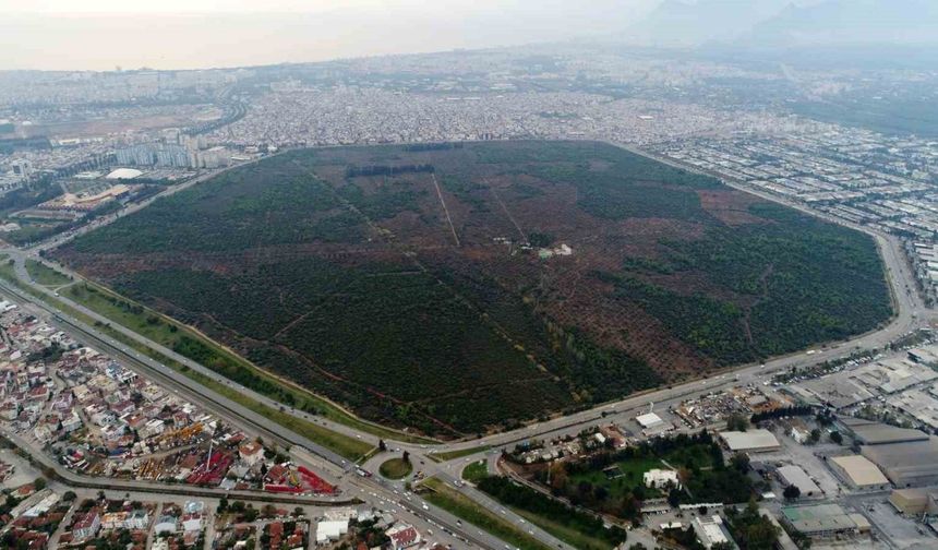 7 yürüyüş parkuru 25 bin ağaçla kentin akciğeri Zeytinpark, Antalyalıları bekliyor