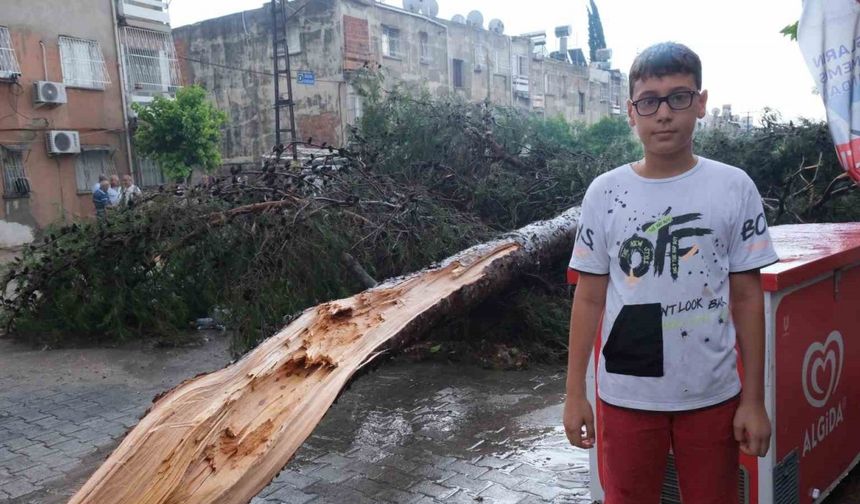 Küçük çocuk fırtınada devrilen ağacın altında kalmaktan son anda kurtuldu