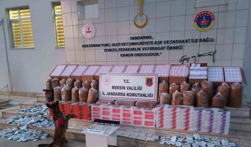 Mersin'de 208 bin adet makaron ele geçirildi