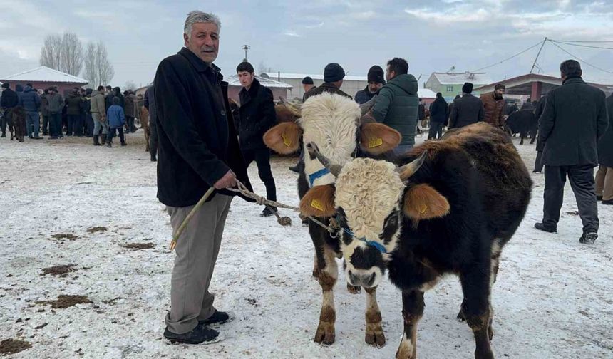 Ağrı Hayvan Pazarı’nda dondurucu soğuk çileye dönüştü