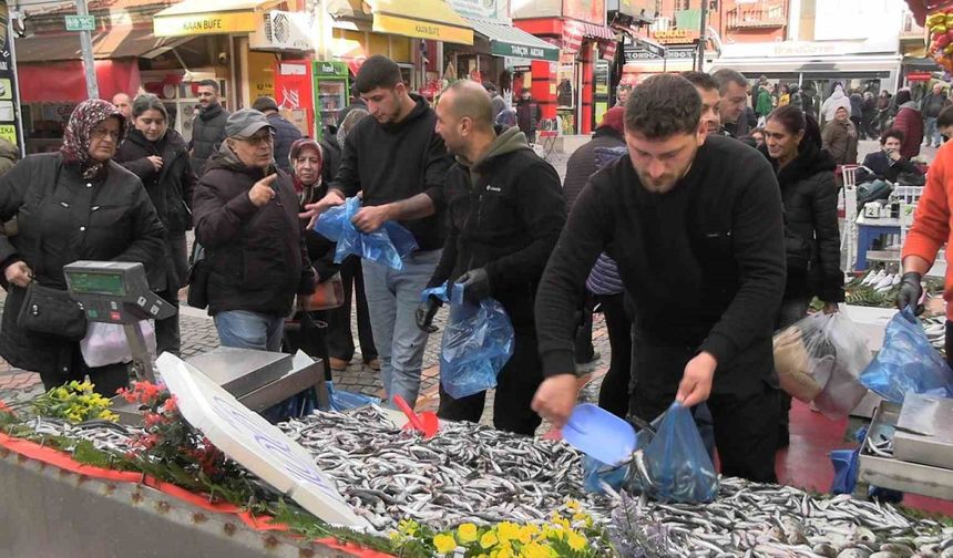 Edirne’de hamsi bolluğu: Kilosu 100 liraya düştü