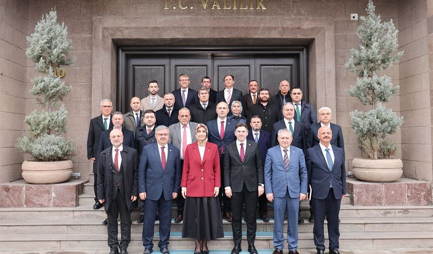 Jeotermal Kaynaklı Sera İhtisas Organize Sanayi Bölgesi çalışmaları sürüyor