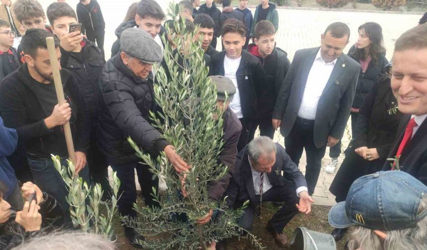 Meslek lisesinin 63. yaşında 63 adet zeytin ağacı sonsuzluğa kök saldı