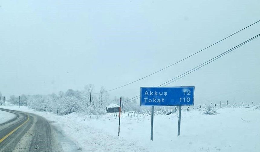 Ordu’nun yüksek kesimlerinde kar yağışı