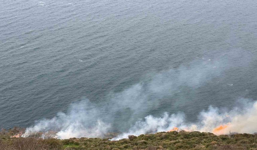 Sinop’ta örtü yangını: 20 dönüm alan zarar gördü