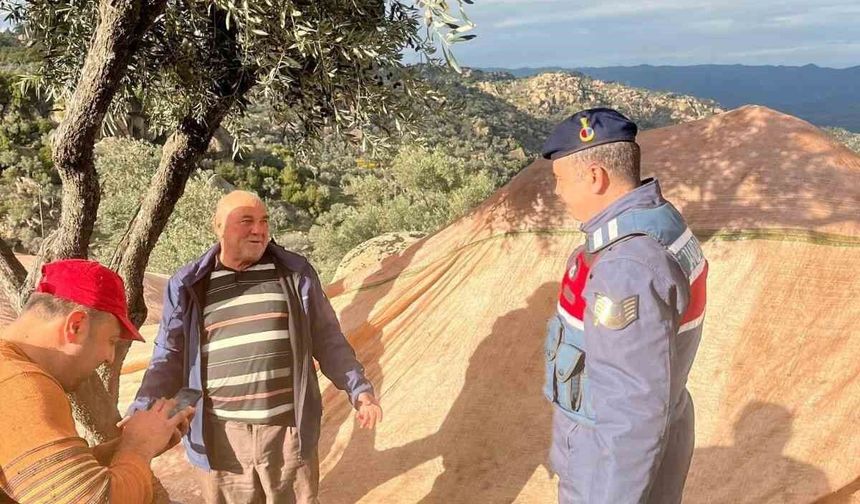 Zeytin hırsızlığına dikkat çekildi