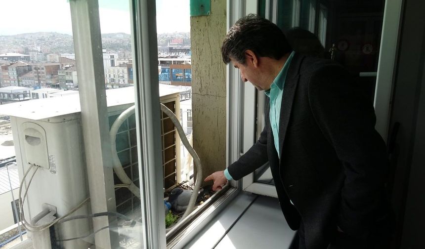 Güvercinler için klimasını kapattı