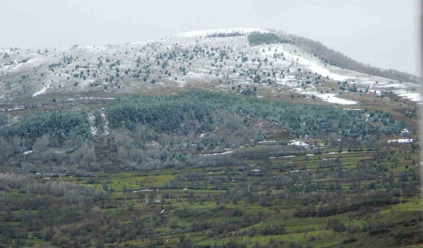 Posof’ta bahar ile gelen kar