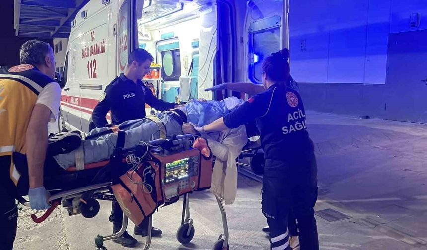Ağaca çarpan otomobilin sürücüsü ağır yaralandı