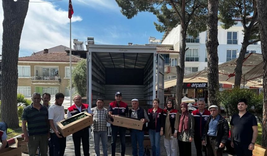 Bozdoğan’da 60 bin turşuluk biber fidesi dağıtıldı