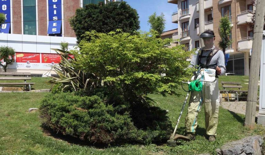Darıca’da yeşil alanlarda bahar mesaisi
