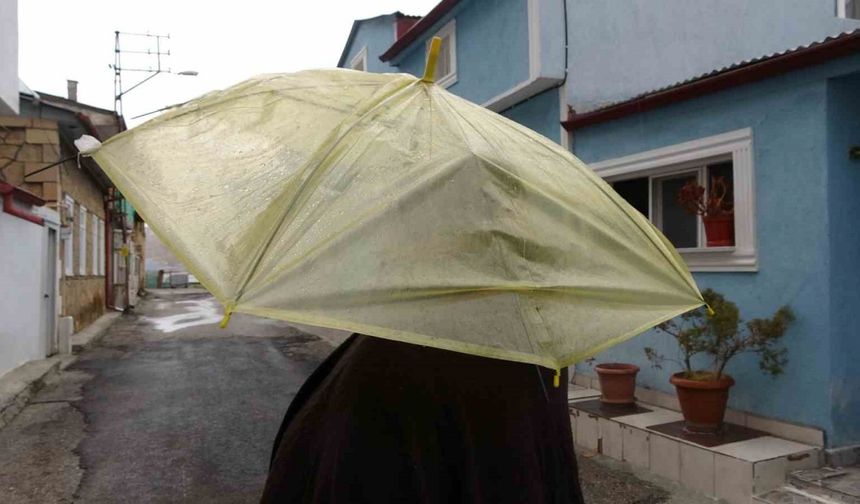 Erzincan haftayı yağmur yağışlı geçirecek