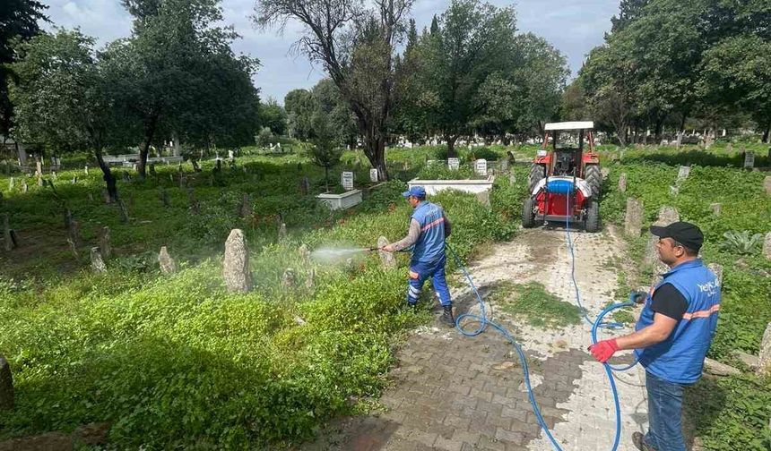 Hamzabali Mezarlığı bakıma alındı