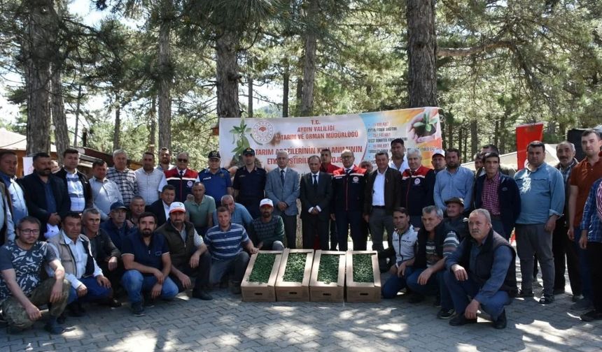 Kuyucak’ta 220 bin domates fidesi dağıtıldı