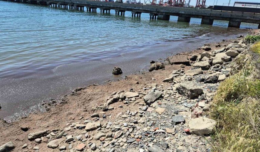 Marmara Denizi’nin Tekirdağ kıyılarında kızıl yosun birikintisi oluştu