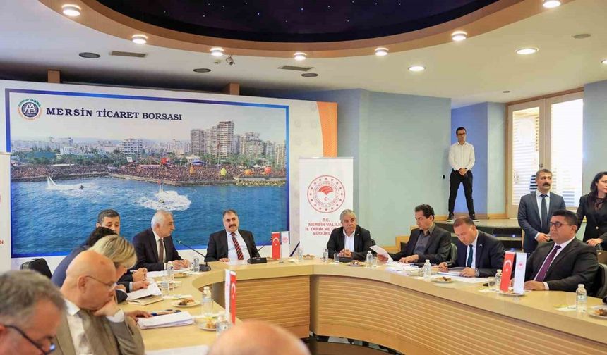 Mersin, ’Kuraklık Yönetim Planı’nı hazırlıyor