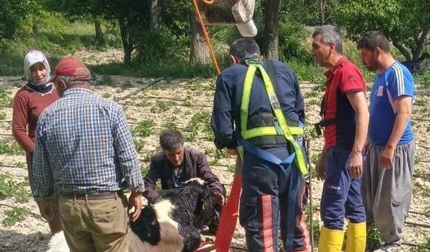 Gülnar'da Kuyuya Düşen Dana Kurtarıldı