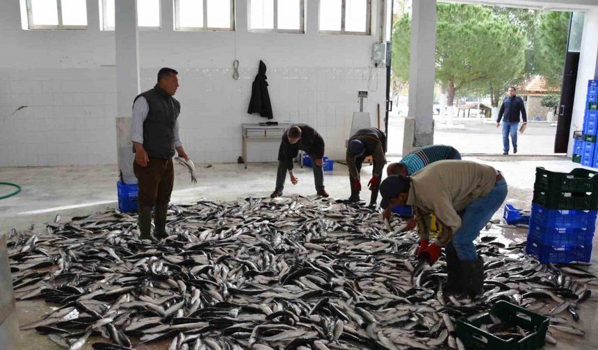 Nisan ayında Muğla’dan ülke ekonomisine 95,2 milyon dolarlık ihracat katkısı