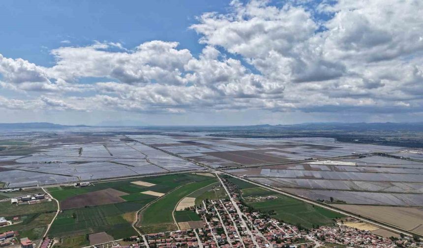 Pirinç ekilen alanlar havadan böyle görüntülendi: Venedik değil İpsala Ovası