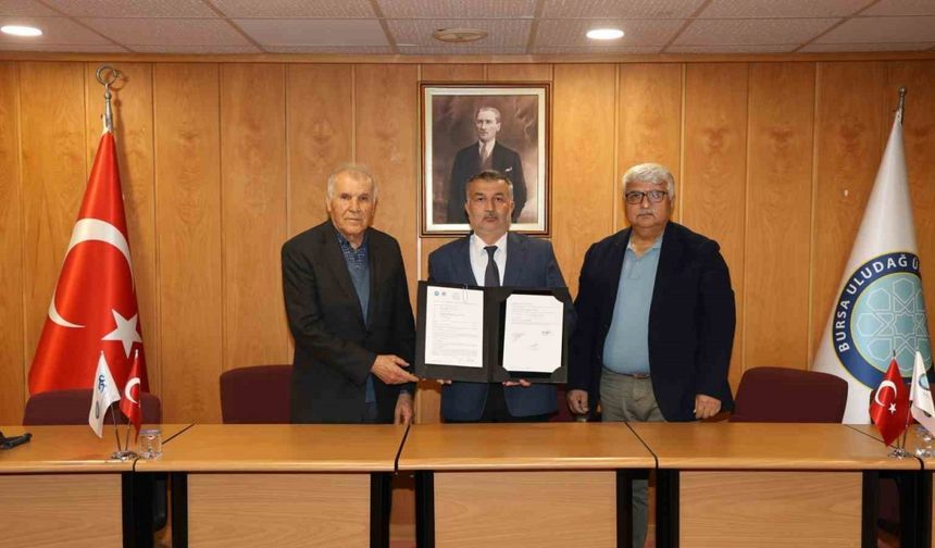Seralara güneş enerjisi teknolojisi BUÜ’de denenecek