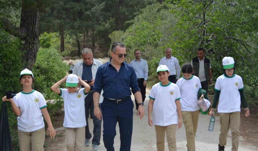 Soma’da ormanlar tertemiz oldu