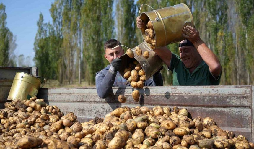 Tarım-GFE yıllık yüzde 29,73 arttı