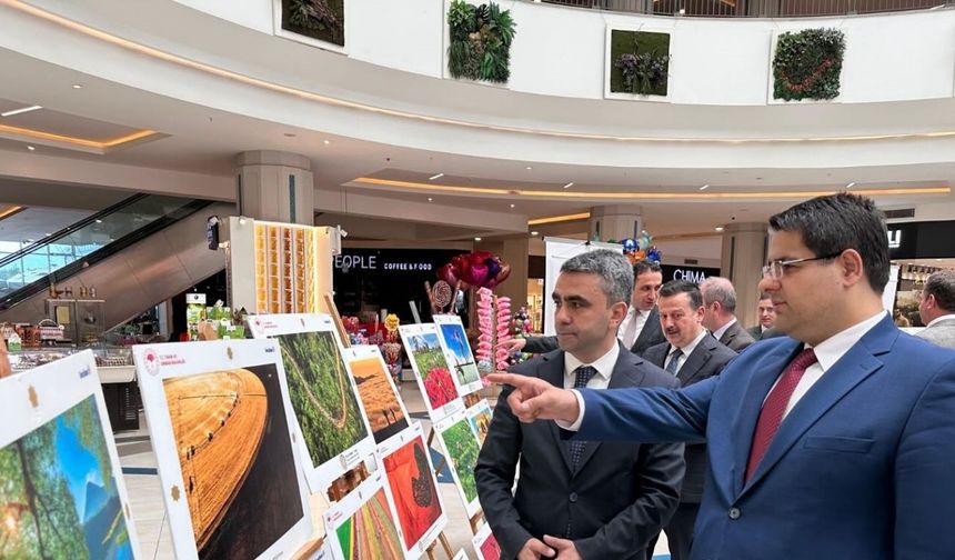Tarım, orman ve insan fotoğraflarda buluştu