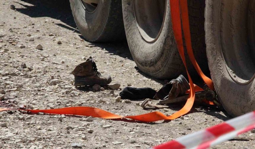 Tonlarca tomruk üzerine devrildi, hastanede hayatını kaybetti