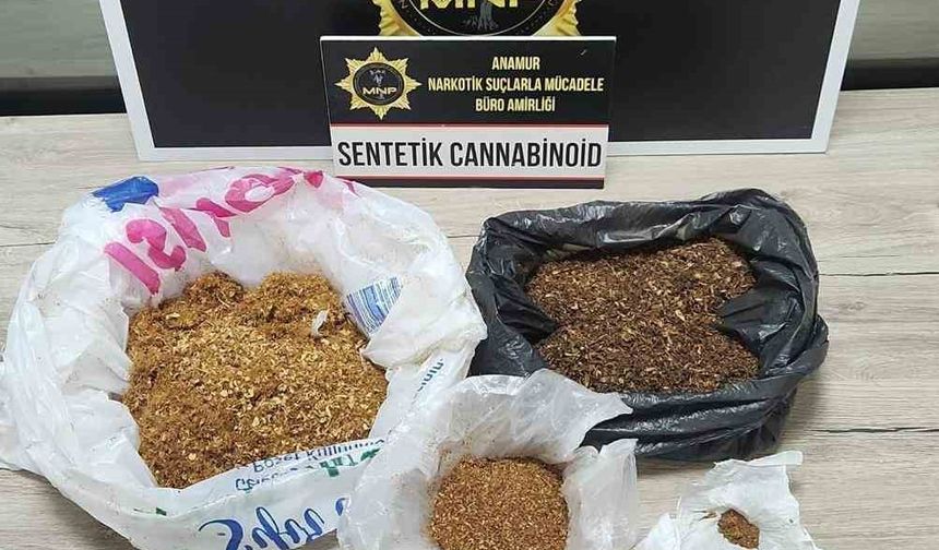 Mersin'de Bonzai ve Kenevir Tohumları Ele Geçirildi