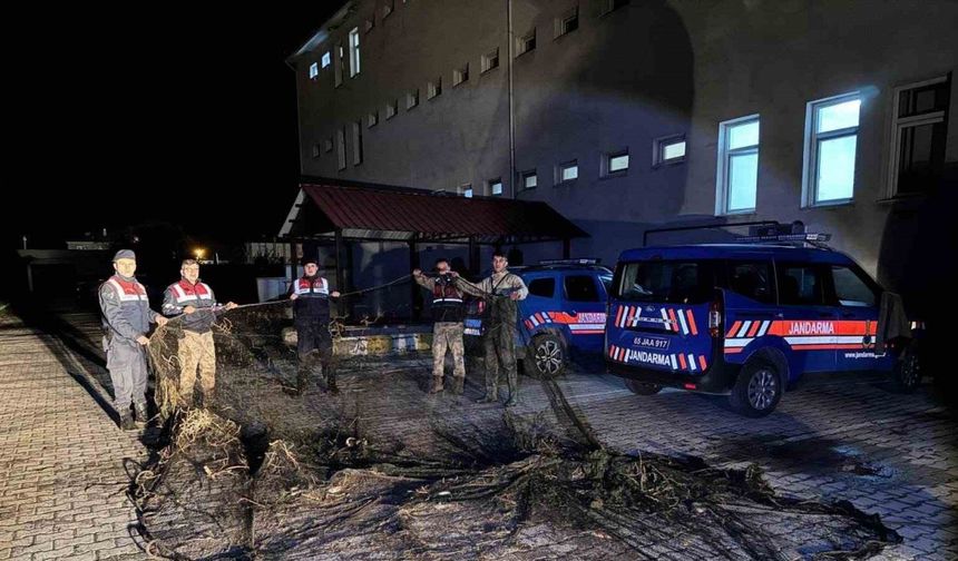 Van’da ele geçirilen 1 ton canlı balık suya bırakıldı