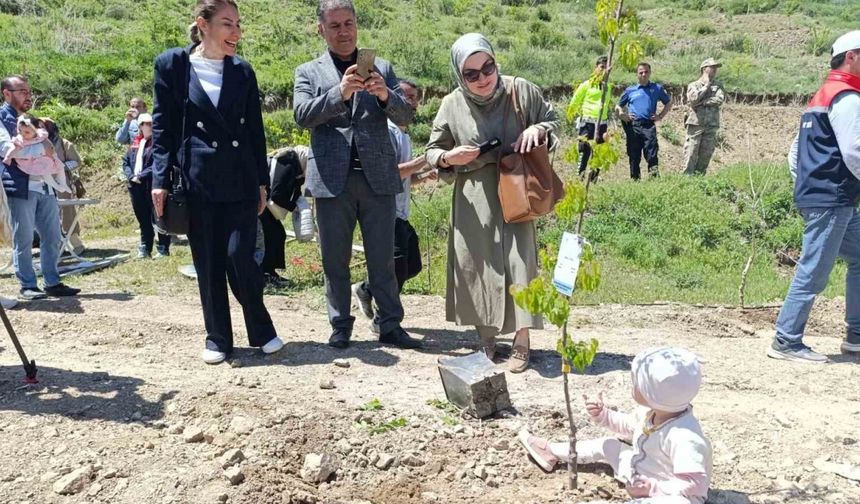 Yeni doğan bebekler hatıra ormanına ilk fidanlar dikildi
