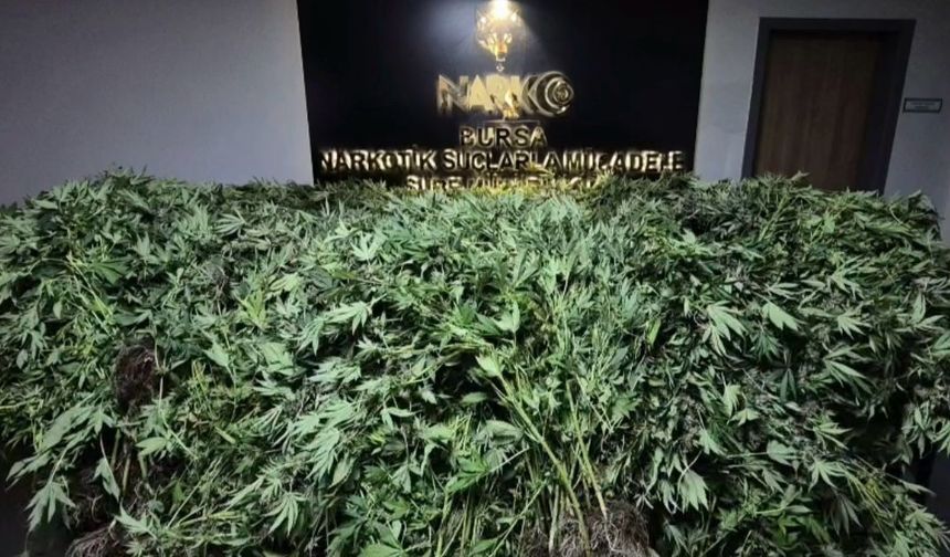 Zehir tacirlerine yapılan baskında 34 şüpheli tutuklandı