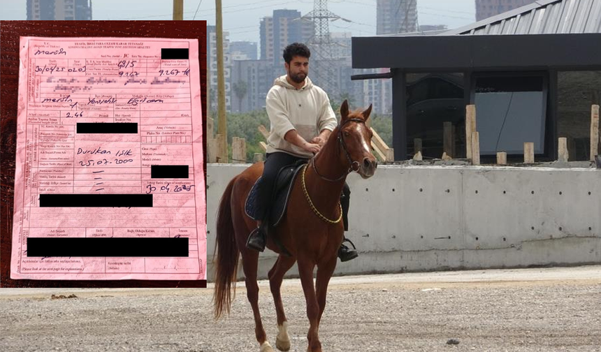 Mersin'de Atıyla Markete Giden Alkollü Şahsa 10 Bin TL Ceza