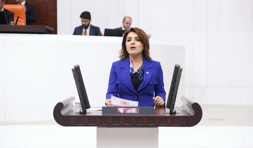 CHP'li Kış'tan Cumhurbaşkanlığı'na Soru Yağmuru