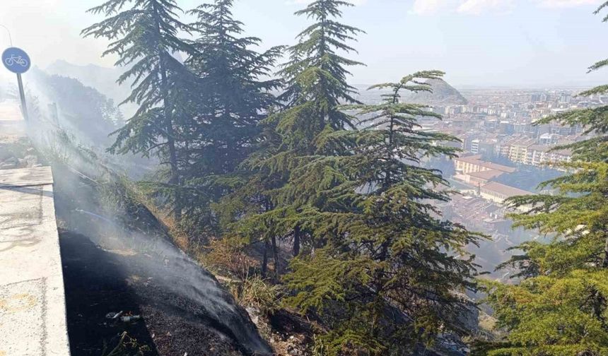 Ağaçlık alandaki yangın paniğe neden oldu